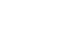 FinTechSouth_TAG_White-1-1-1